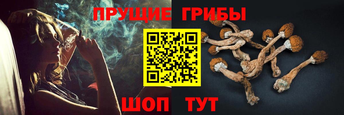Галлюциногенные грибы MAGIC MUSHROOMS Знаменск